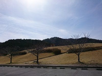 イタグレ散歩7