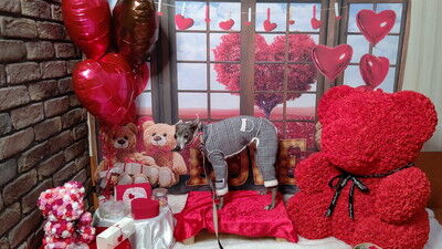 ドッグカフェアムールワン (10)