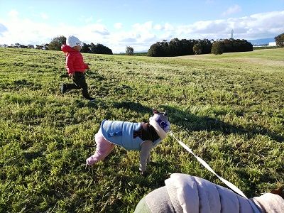 海ふれドッグラン10
