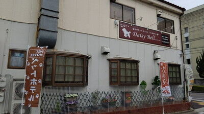 新しいドッグカフェ Daisy Bell へ こまりーーーーーんこ 新しいドッグカフェ Daisy Bell へ こまりーーーーーんこ