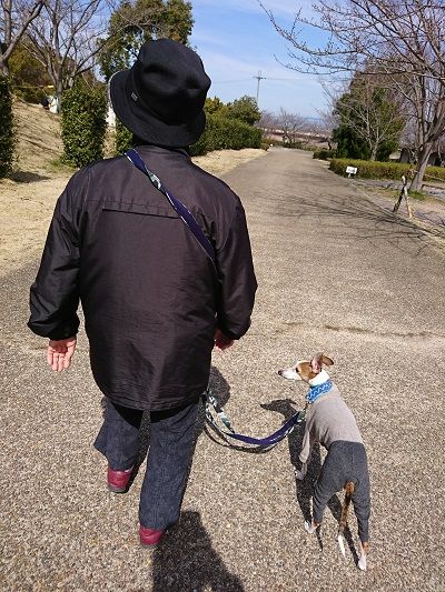 イタグレ散歩3