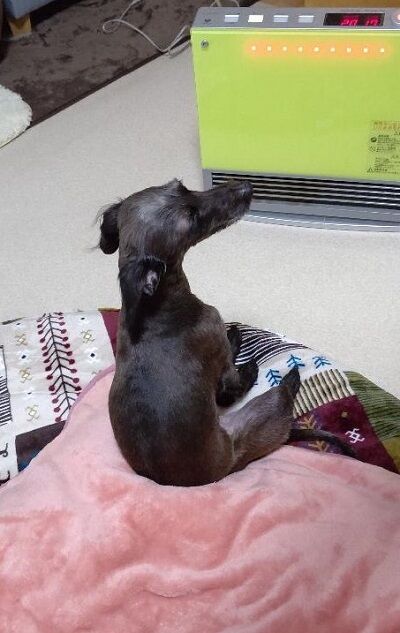 イタプーおっさん座り2