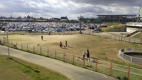 花園ラグビー場1