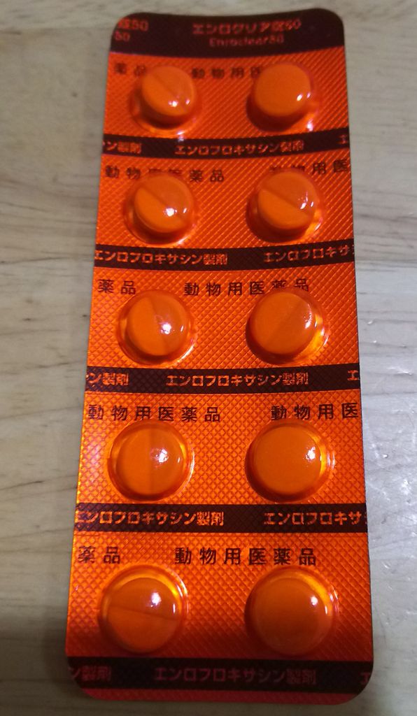 原因究明の為に血液検査 結果wbcとcrpが高い こまりーーーーーんこ 原因究明の為に血液検査 結果wbcとcrpが高い こまりーーーーーんこ
