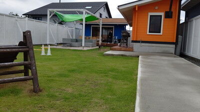 ドッググランピング滋賀高島イタグレ (2)