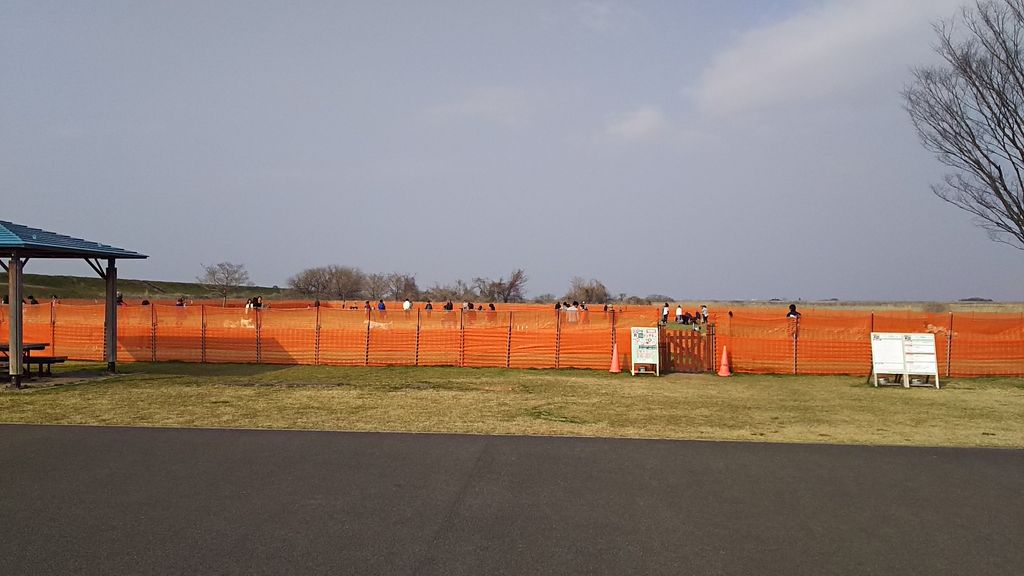 無料で広くて羨ましい 東海広場ドッグラン こまりーーーーーんこ