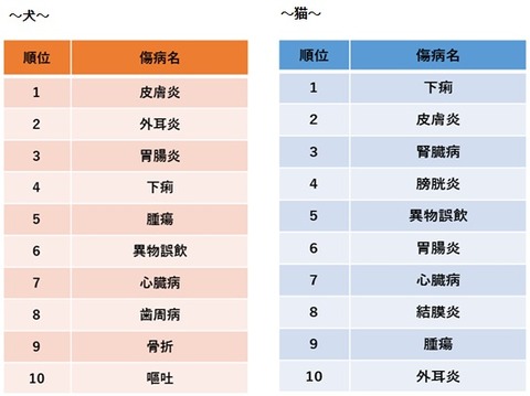 ペットの保険金請求ランキング1