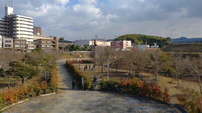 打上川治水緑地ドッグラン (4)
