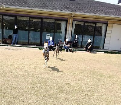 尼テクラストラン9