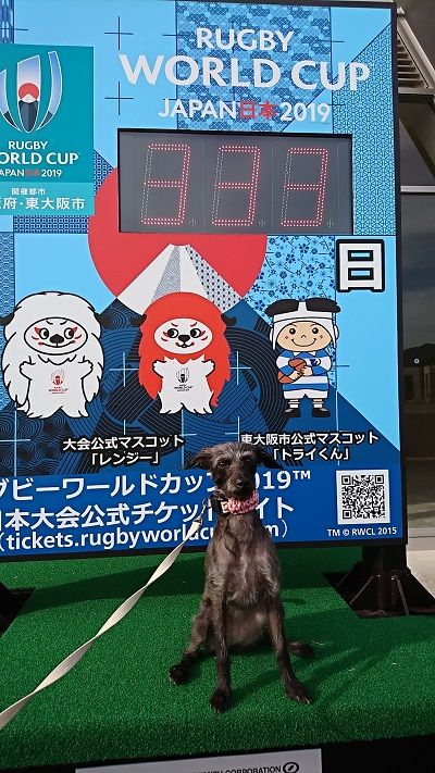 花園ラグビー場1