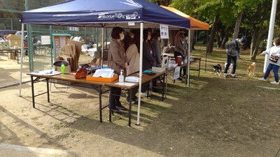 わんにゃんマルシェ住之江公園 (6)