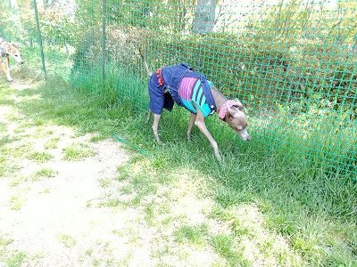 尼テクラストラン10