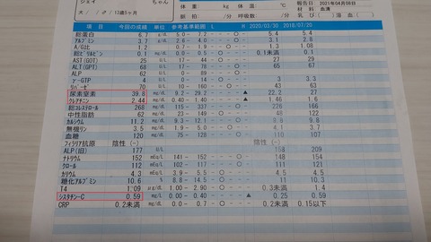 イタグレジェイ健康診断 (2)