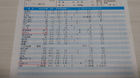 イタグレジェイ健康診断 (2)