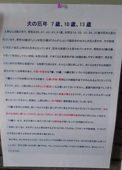 犬の厄年