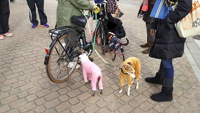 花園ラグビー場4