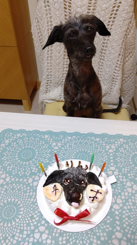 イタプーりん_４歳誕生日 (1)