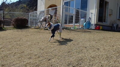 dogcafe_jolijoli (3)