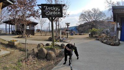 森のラッキーガーデン犬 (7)