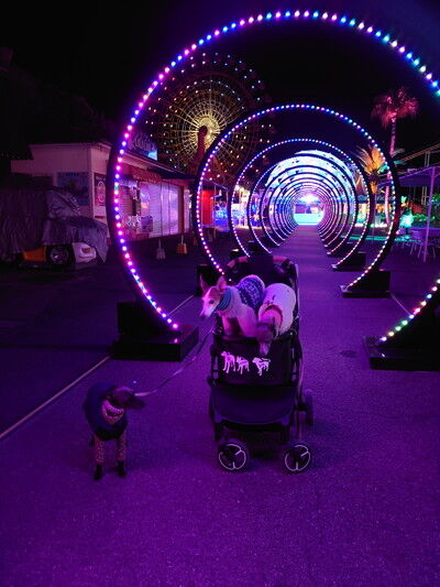 マリーナシティ (2)