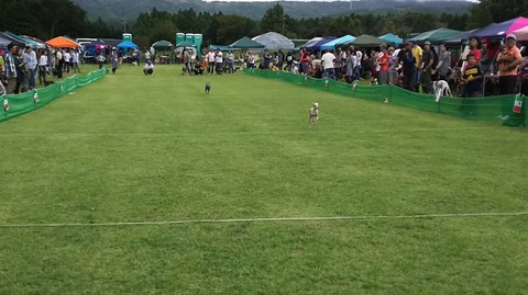 海おさ30m走アル1