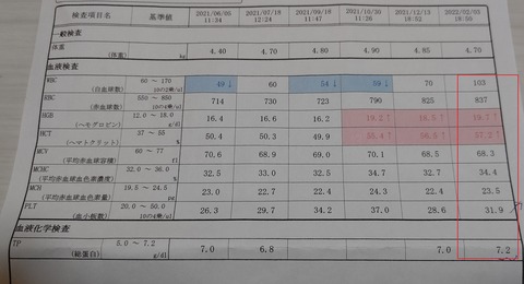 イタグレこまり免疫介在血小板減少症 (4)