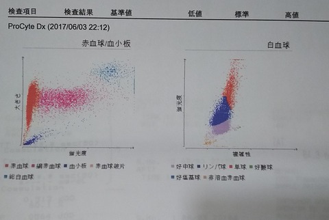 犬_腫瘍_検査5