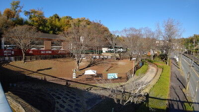 ロゴスランドドッグラン (8)