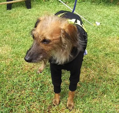 海おさ_ウイプー1