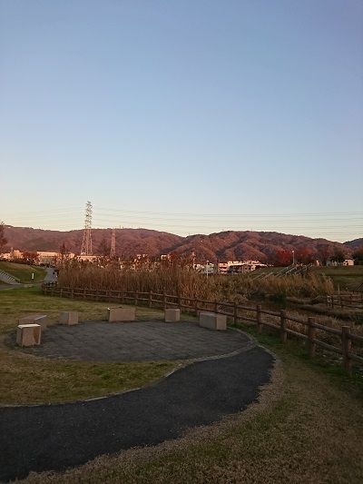 花園ラグビー場3