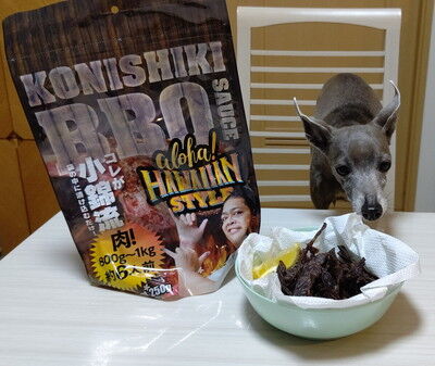 konishkibbqsauce (1)