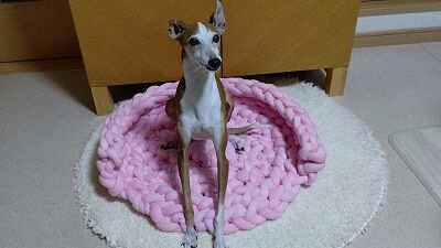 ハンドメイド犬用ベッド (1)
