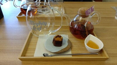 dogcafe_jolijoli (16)