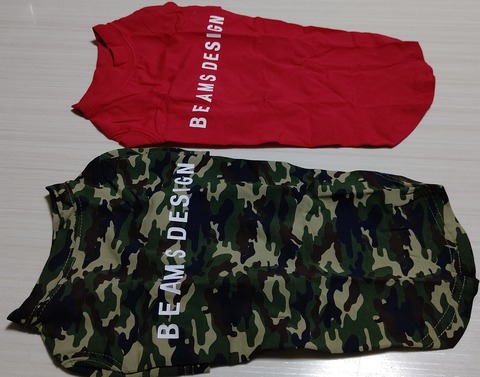 ビームスデザイン犬服イタグレ (4)