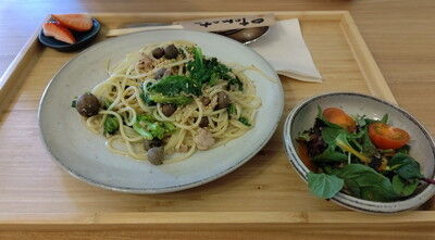 dogcafe_jolijoli (13)