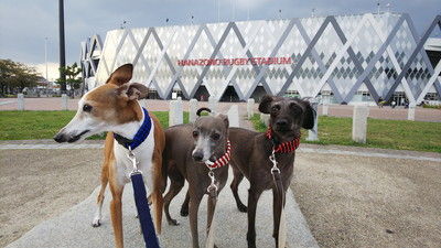 花園中央公園ドッグラン (2)