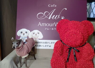 アムールワンカフェ (14)