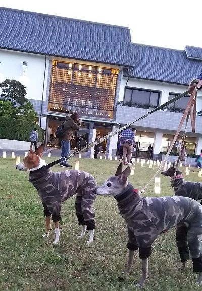 花園ナイトミュージアム1