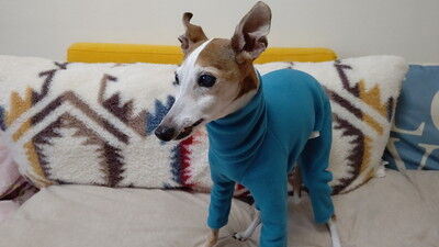 イタグレジェイ15歳誕生日 (2)