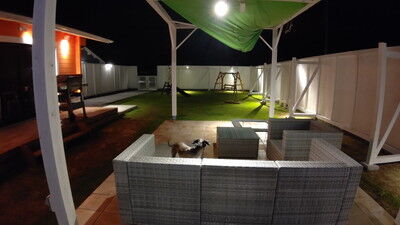 ドッググランピング滋賀高島イタグレ (11)