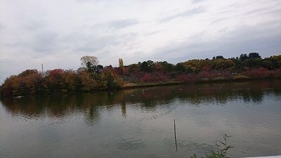 鶴見緑地3