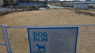 泉南りんくう公園のドッグラン こまりーーーーーんこ