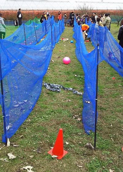 梅の郷ワン動会_13