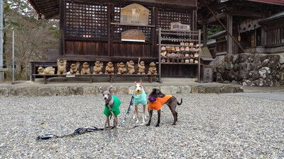 大瀧神社犬上神社 (5)