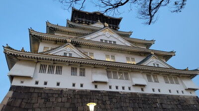 大阪城イタグレ散歩 (6)