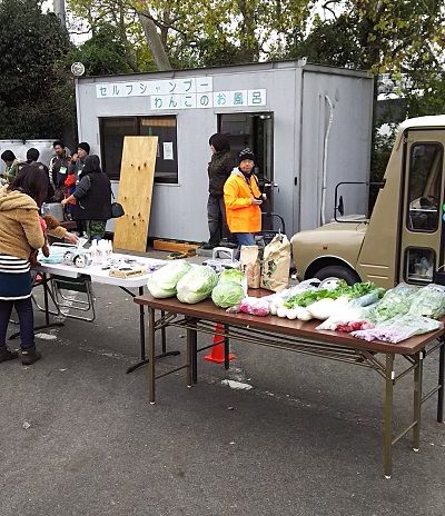 梅の郷ワン動会_15