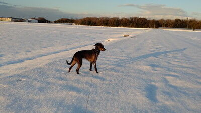 イタプーリン (4)