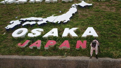 花園中央公園サトザクラ (3)