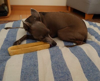 ヒマチー7