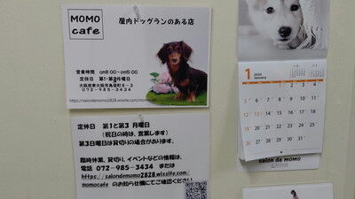 momocafe4